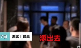 爆料宜昌事件视频播放,真相与争议交织